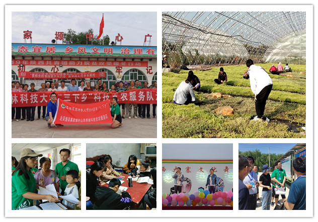 17e639ad83e04a8ab8019a0168d99a26.jpg 社会实践.jpg