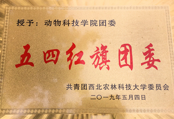 51b6dfaa32fb408f819a353d81dbe36d.jpg 学校五四_副本.jpg