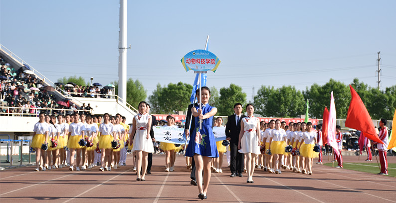 d24ffbc3e18c443d8f8ebe10d9f39646.jpg 天田径运动会.jpg