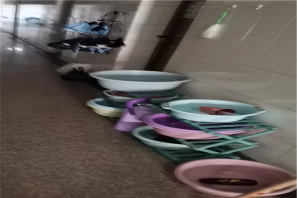 3496b3c0696644ea993c6443d83060e7.png