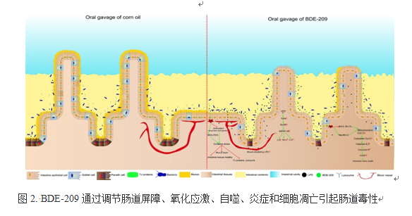 7e733675c50e46ffa0c112146d5a90b7.png QQ图片20210302144415.png