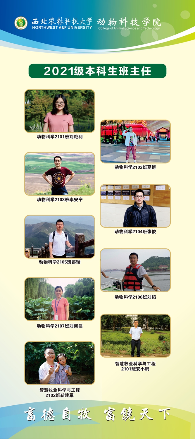 f592a1747e154fd8b594b58c1b0e9f3d.jpg 动科立屏画面04_副本.jpg