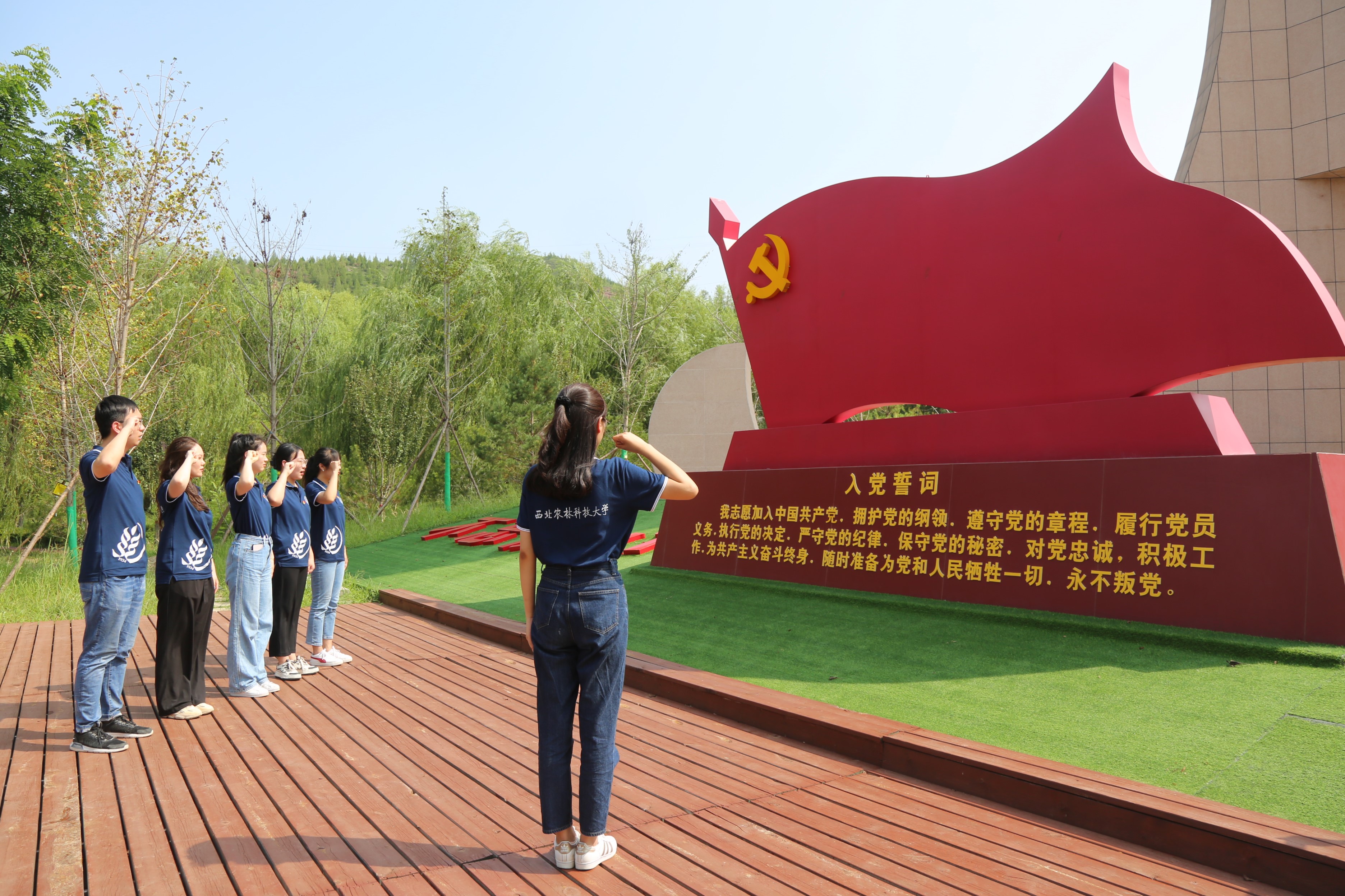 3c572efca052400aa01bcb821e9b19c9.jpg
