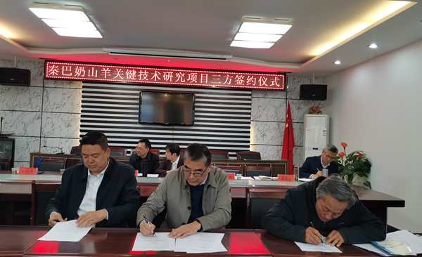 81f85f93c09140bcb6314acec56db96e.png 图片 4_副本.png