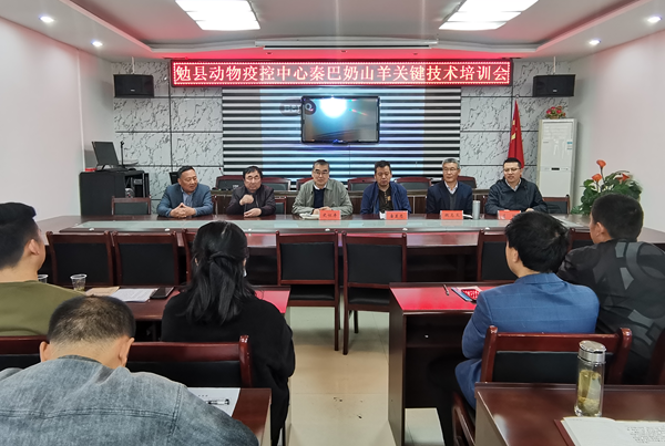 edf89d1162804ca4821d2192073c3b9b.png 图片 5_副本.png