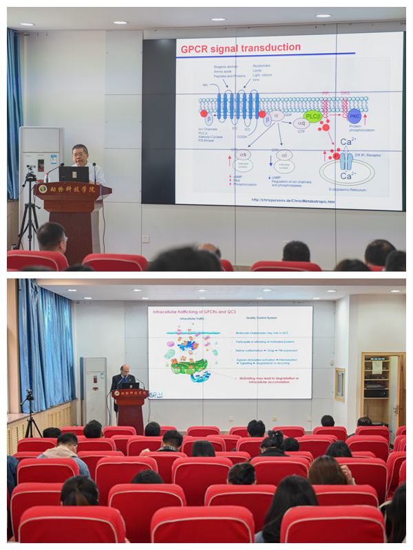 59910dcc93ef4b0598ea022254fe68bf.jpg NeoImage_副本.jpg