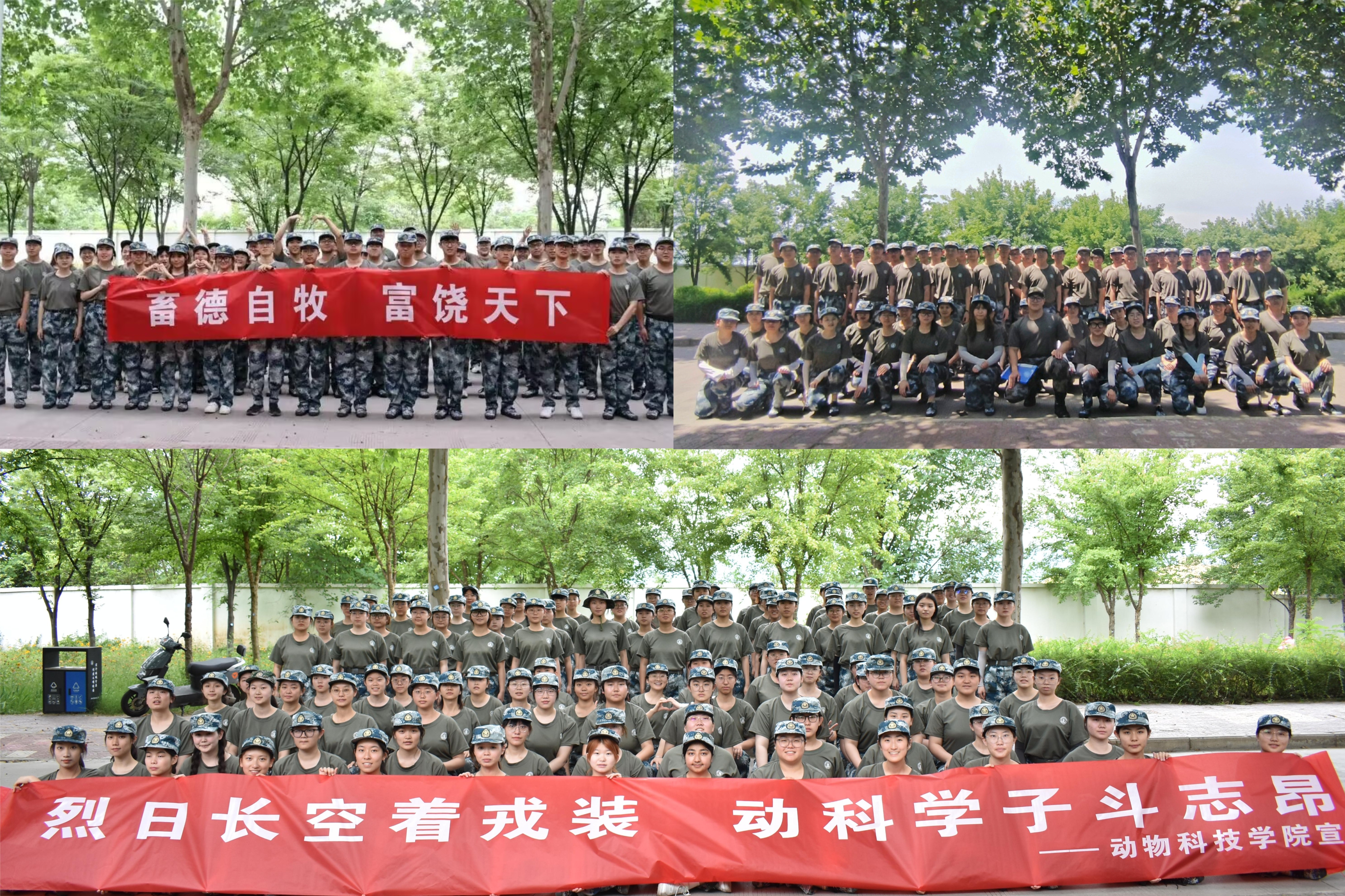 68bb5770cb3248e9b5a61b1df47c1e2d.jpg