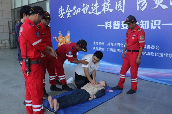 b3087bfde4b3462cbd06adb586054375.jpg IMG_8110.JPG