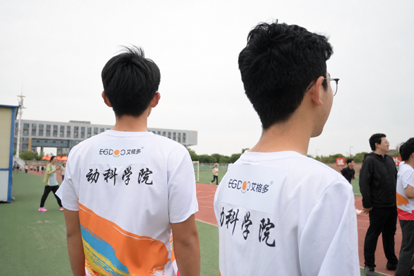 ea06a1227c48c4ed3cbf87ffd65b4596.png