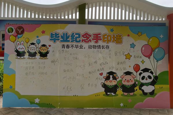 图三 活动中手印墙.jpg